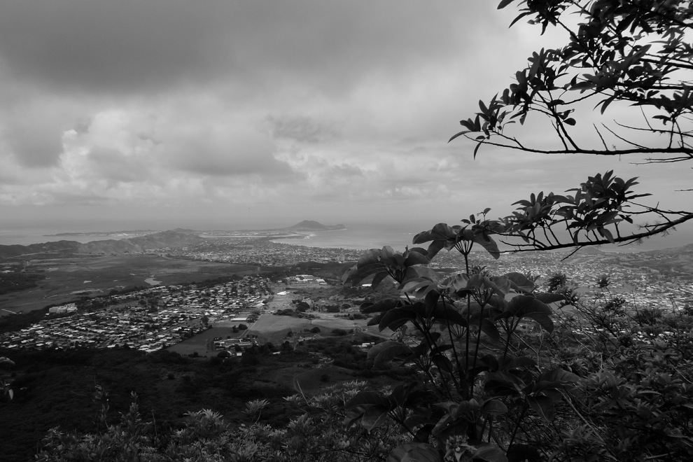 P1000529