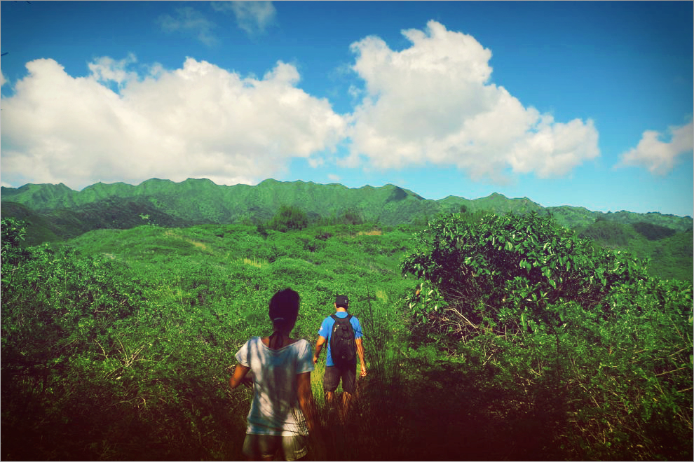 hawaiiloa-cover