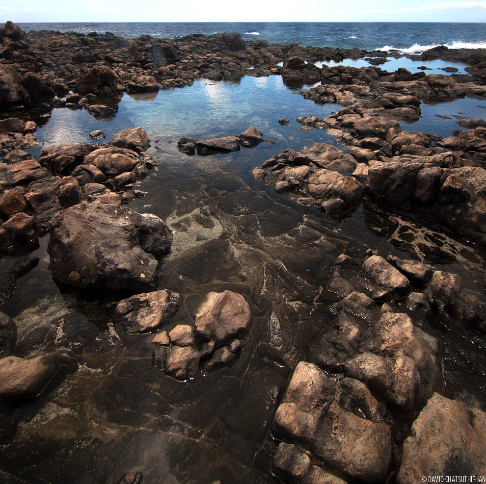 The tide pools