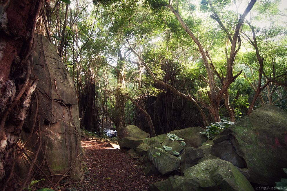 Nuuanu Boulders