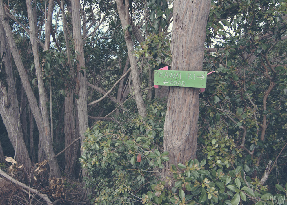 20120122-DSC_0189