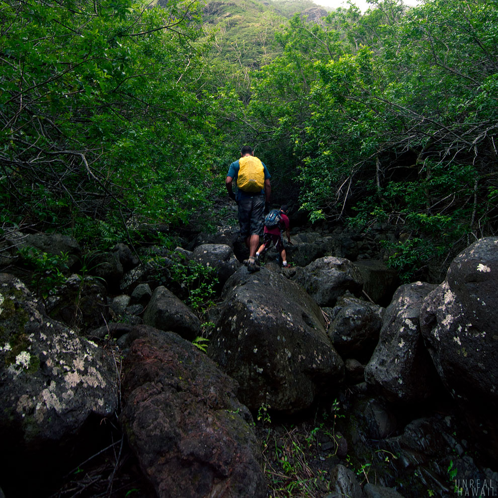Kaleo and Ryan hiking to Makaua Falls, Kaaawa Hawaii