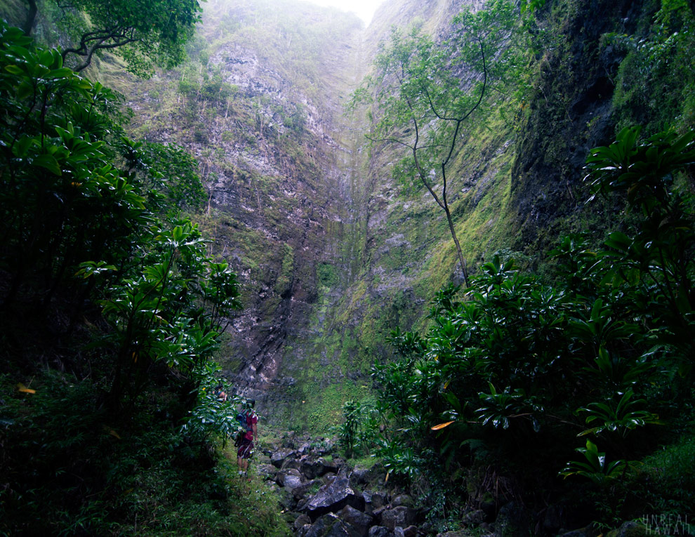 Makaua Falls hike, Hawaii