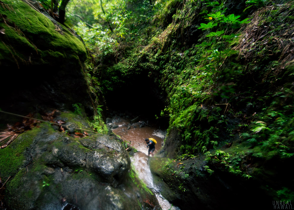 Climbing down a water on the Makaua Valley hike in Hawaii