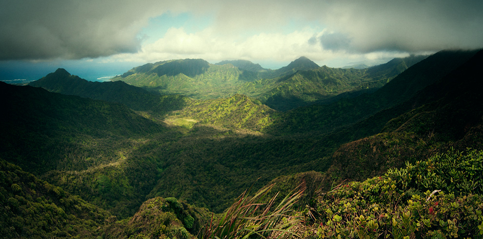 Poamoho_Panorama1