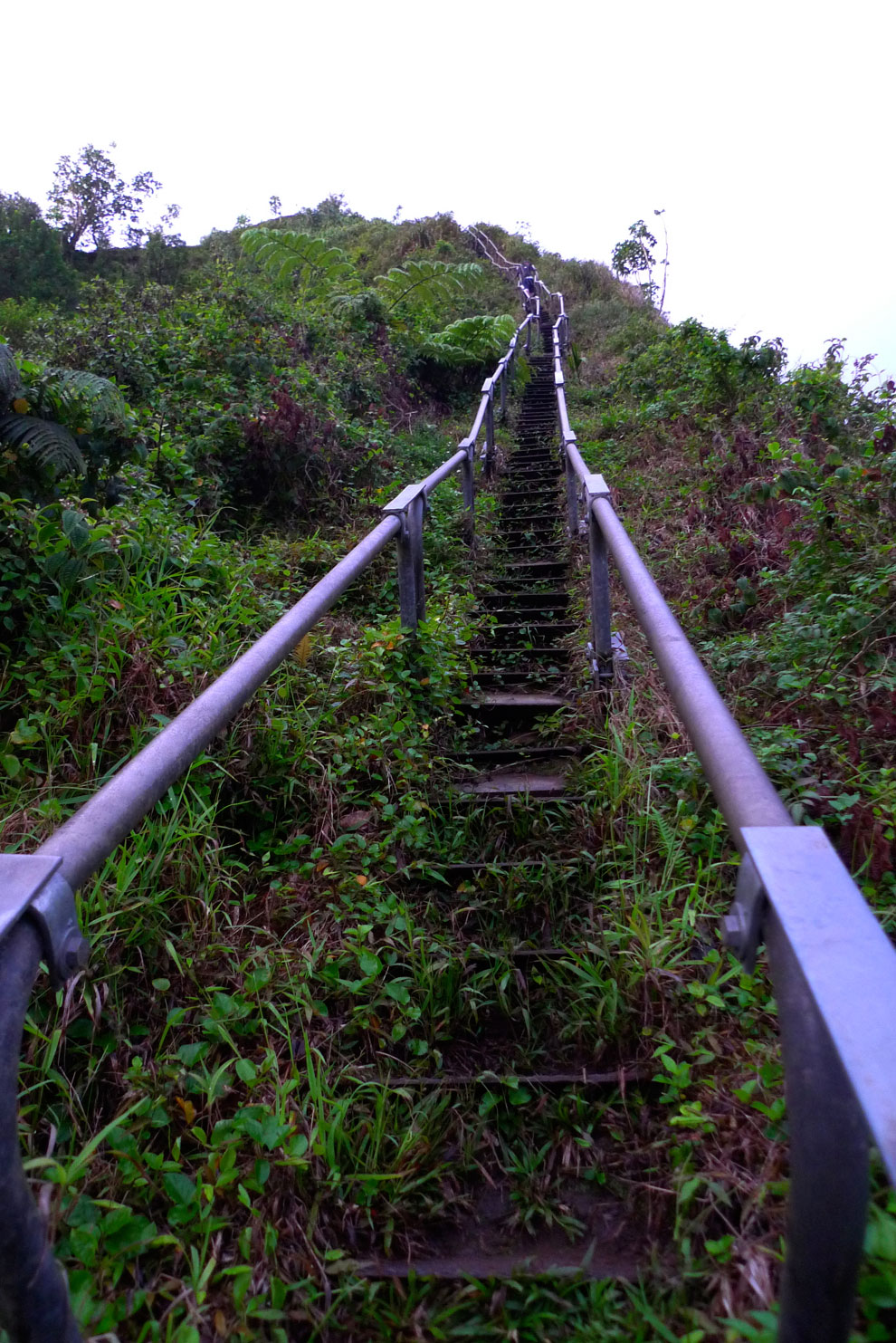 Stairway To Heaven Hawaii Hike: Epic Haiku Stairs Oahu Trail