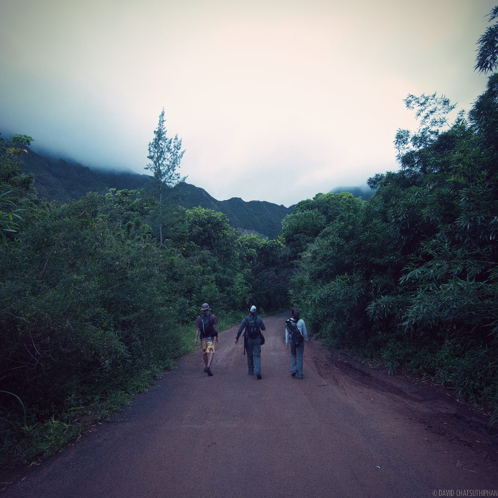 Trail to the Haiku Stairs (aka Stairway to Heaven)