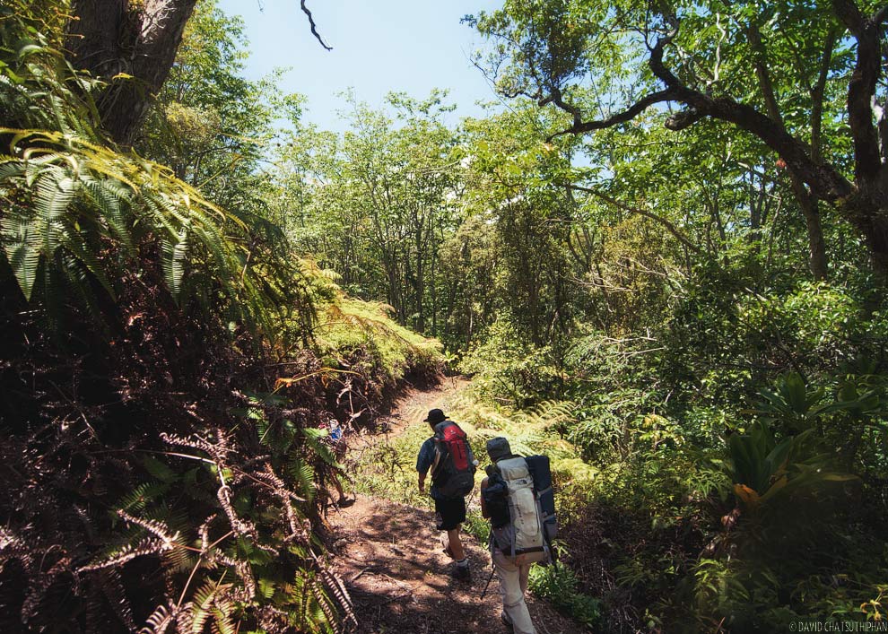 Backpacking to Waimanu Valley