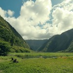 Waimanu Valley, Big Island, Hawaii