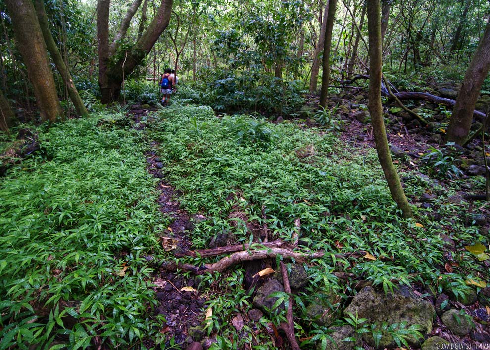 Hiking into Waimanu Valley