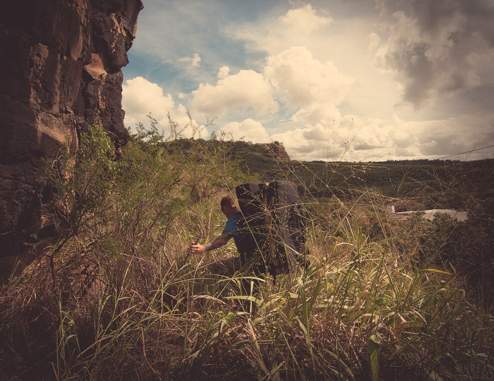 Dennis pushes through grass to get to Oz. A bouldering spot in Hawaii.