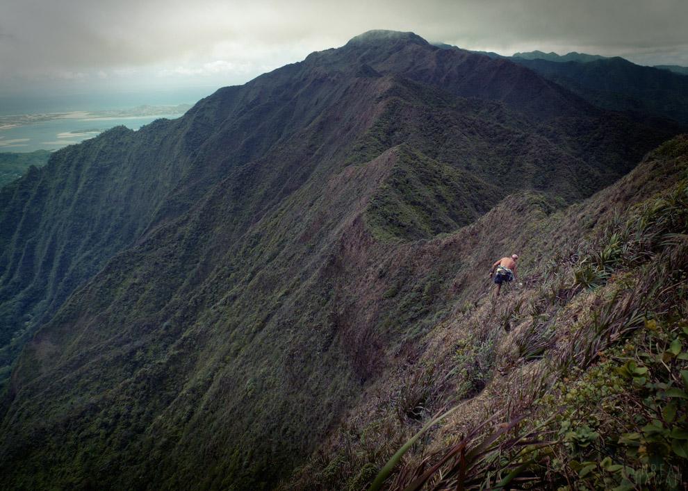 Hiking on Hawaii's Koolau Summit