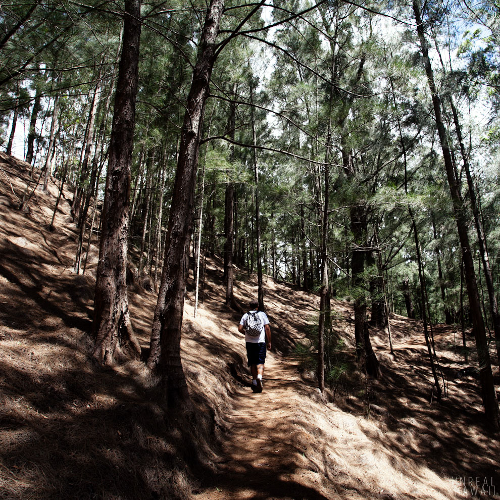 Hiking in Hawaii on the Kuliouou Ridge Trail