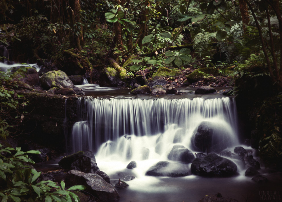 A stream on a Hawaii hike