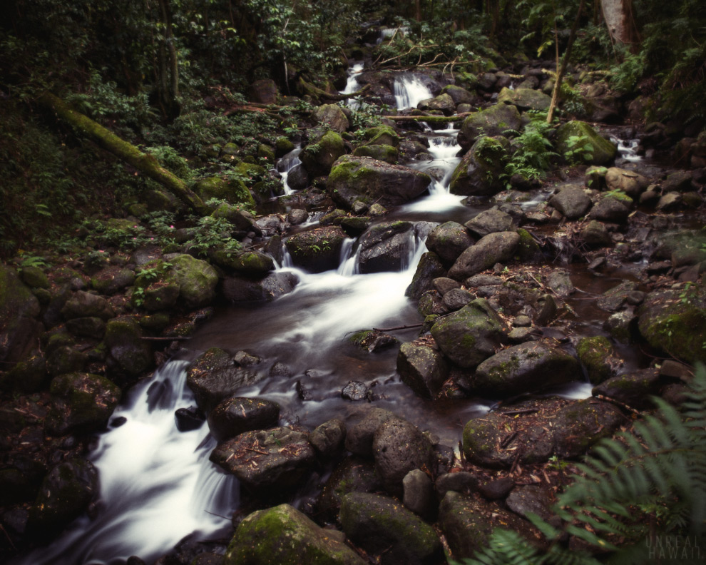 A mini waterfall on Oahu, Hawaii