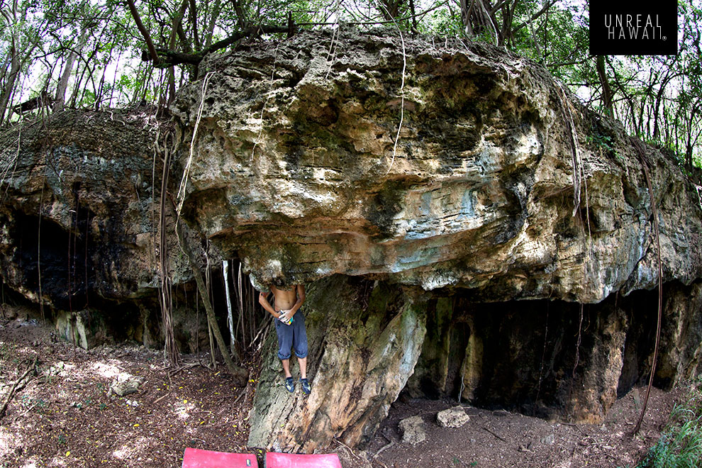 The Hawaii Rock Climbing Spot, Zombie Meadows