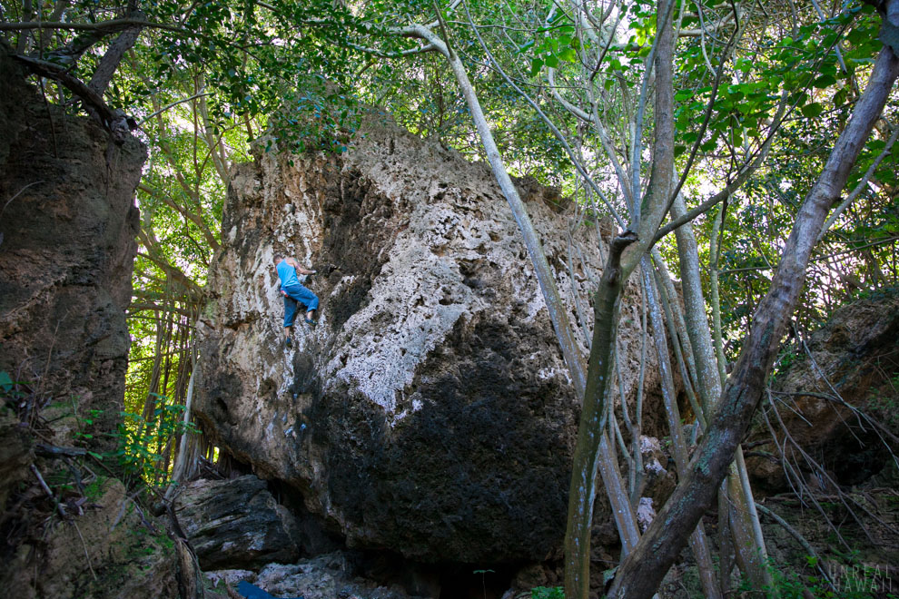 Justin Ridgely, hawaii rock climber
