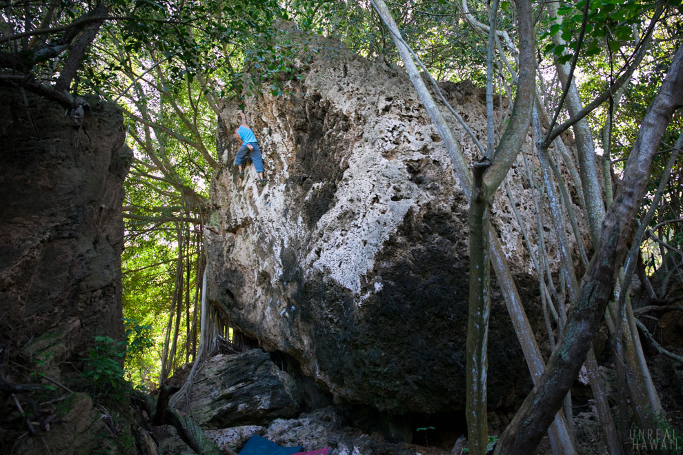 Justin Ridgely, bouldering in Hawaii