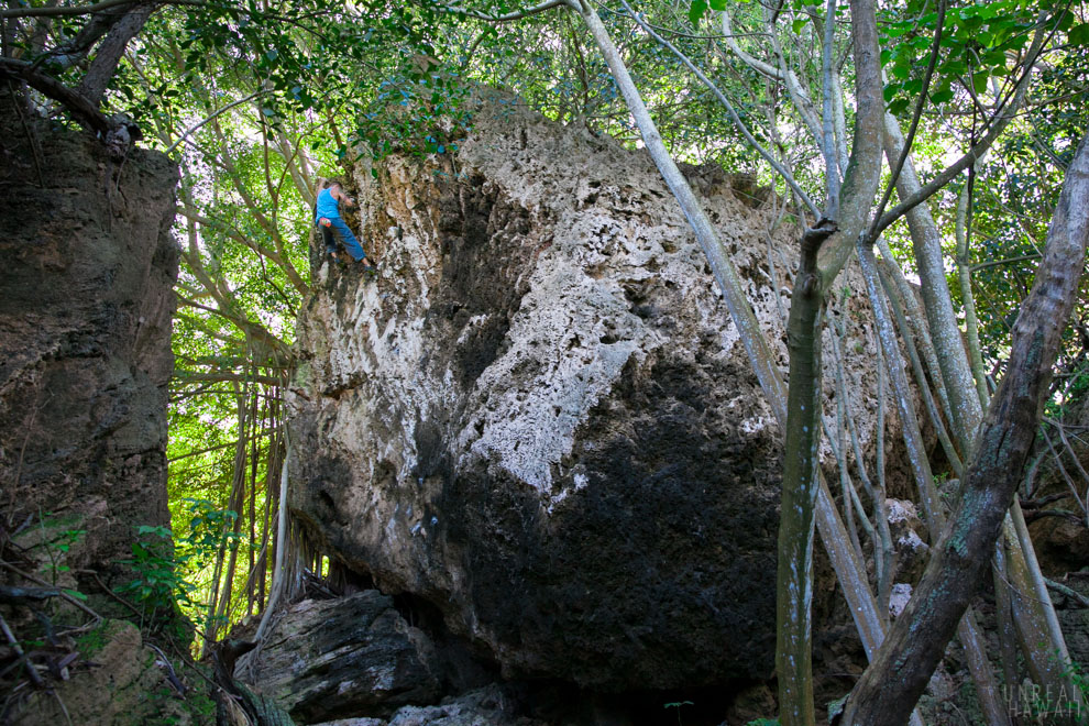 Hawaii rock climber, Justin Ridgely, bouldering in Hawaii