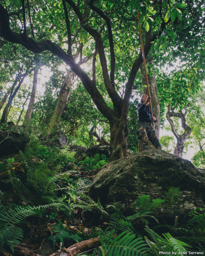 Hawaii Conservation