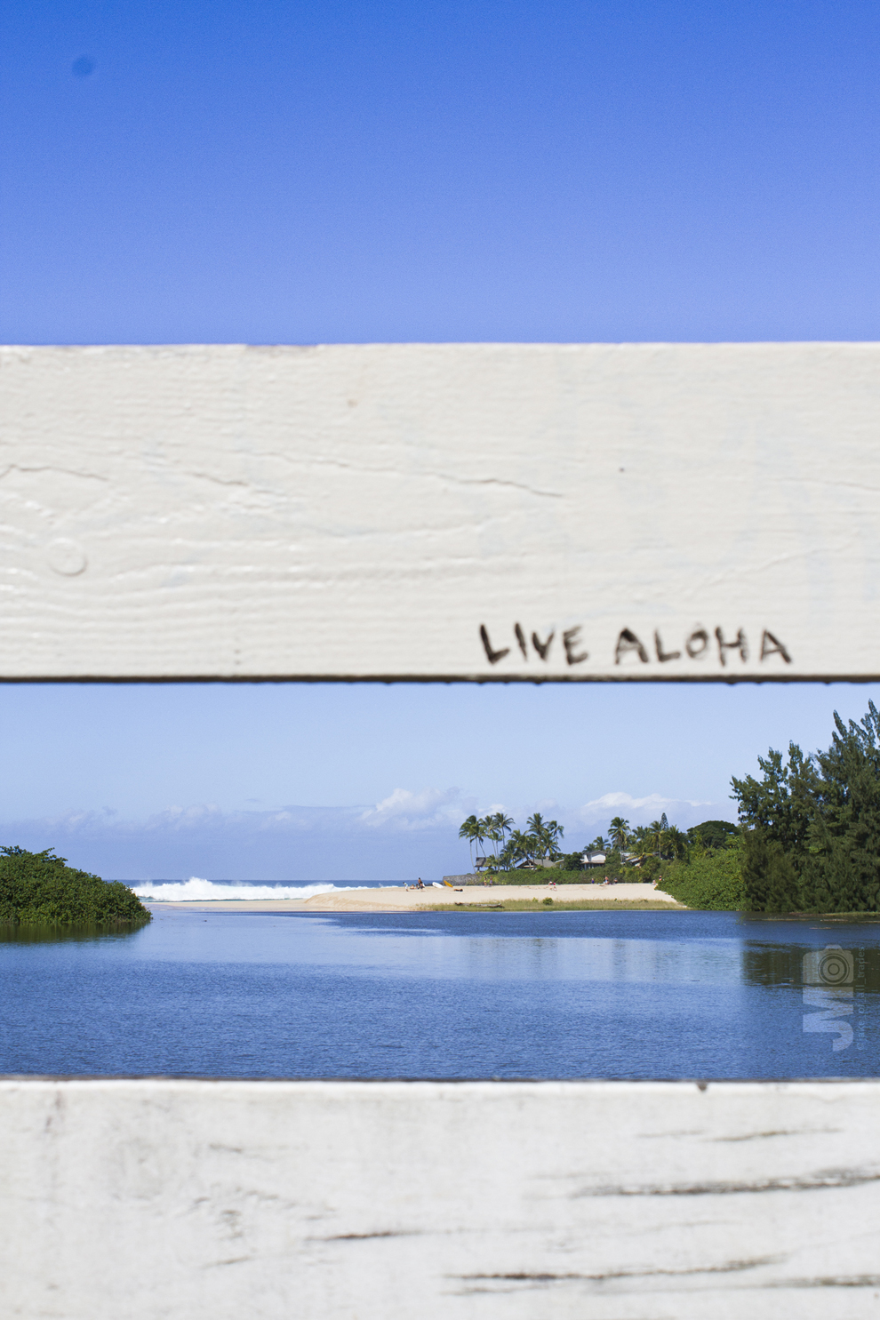 Live Aloha