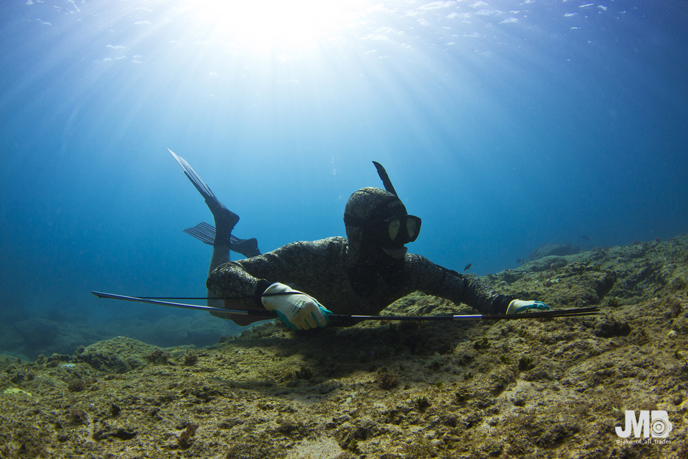 The Underwater Hunter