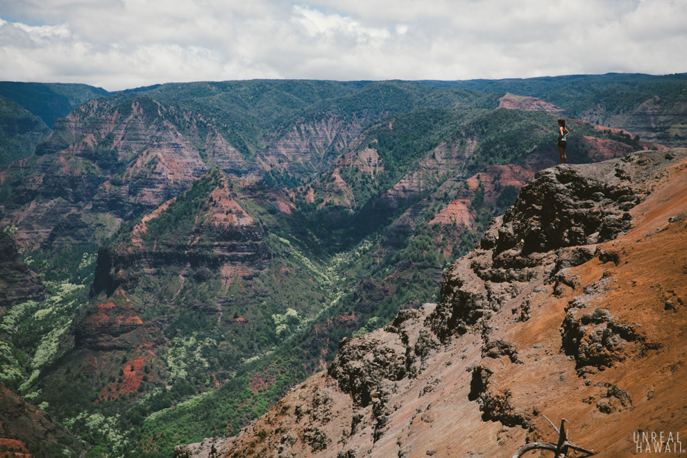 Standing above Waimea Canyon - Kauai, Hawaii