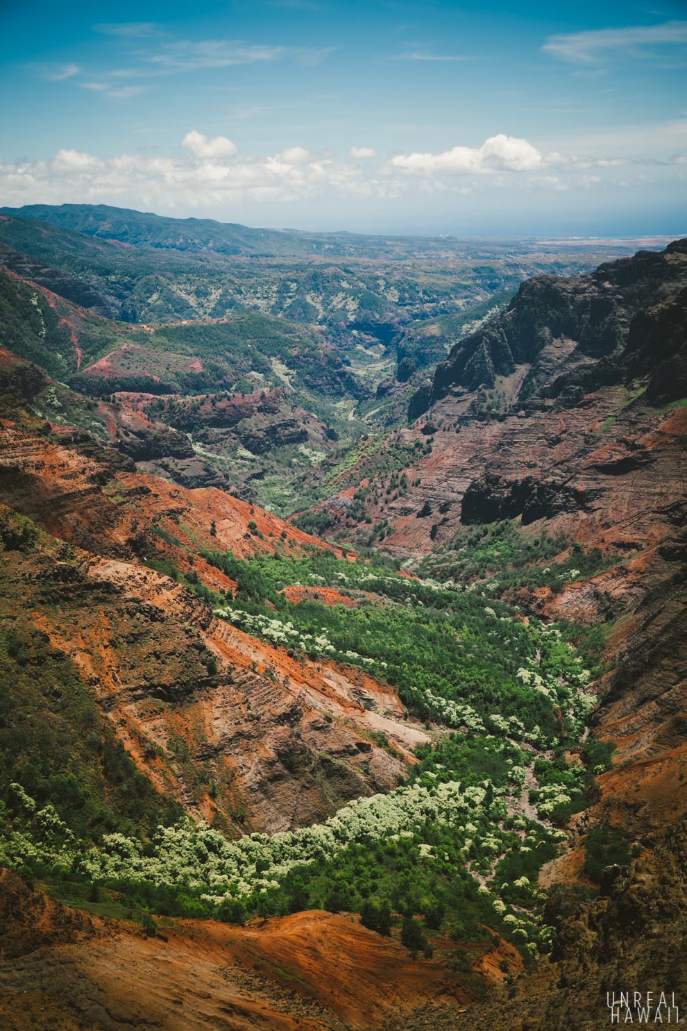 Waimea Canyon - Kauai, Hawaii