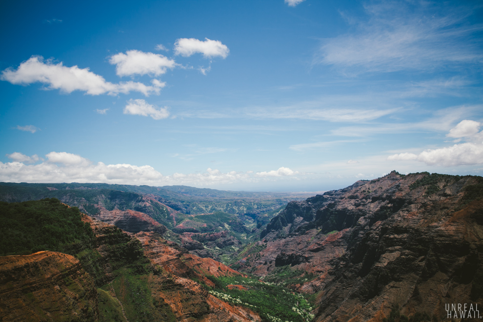 Waimea Lookout from the Pu'u Hinahina Lookout, Kauai, Hawaii