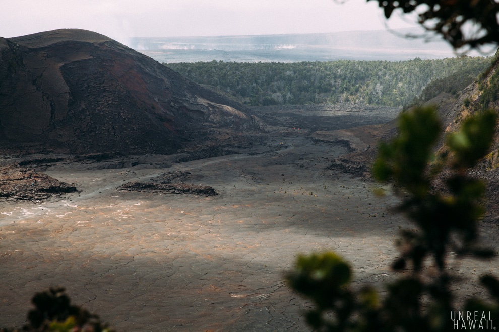 Kilauea Iki Trail at Hawaii Volcanoes National Park