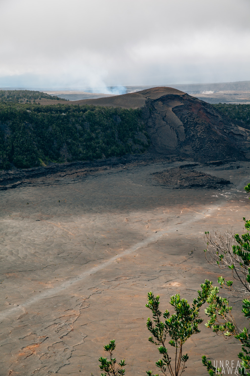 The beaten path of Kilauea Iki Trail at Hawaii Volcanoes National Park