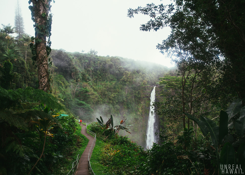 Path to Akaka Falls in Akaka Falls State Park