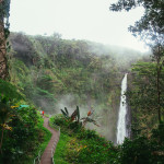 Path to Akaka Falls in Akaka Falls State Park