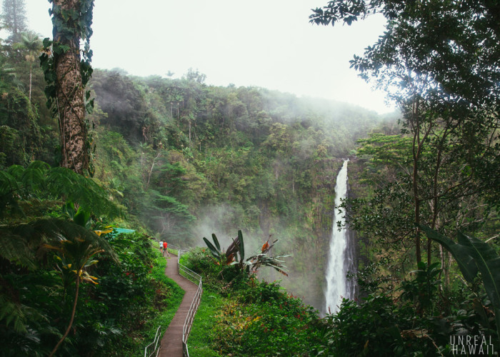Path to Akaka Falls in Akaka Falls State Park