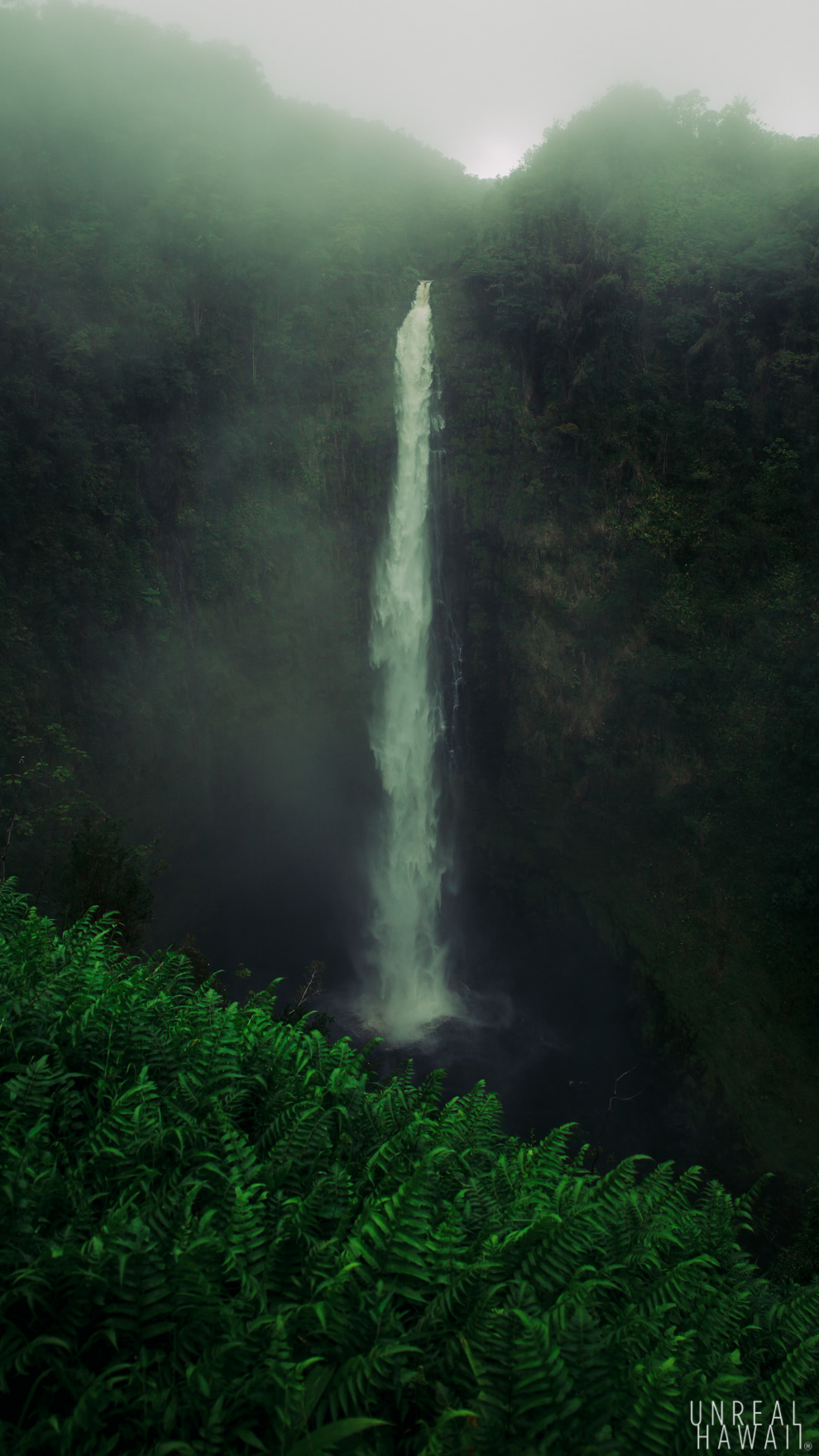 Vertical photo of Akaka Falls on Hawaii Island