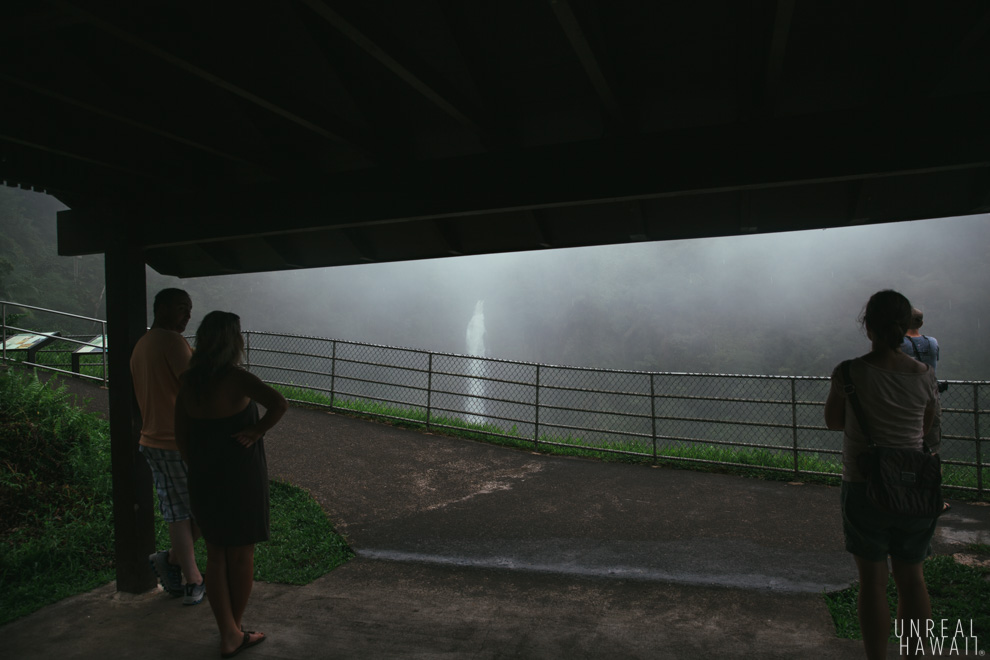 Akaka Falls viewing platform - Hawaii Island