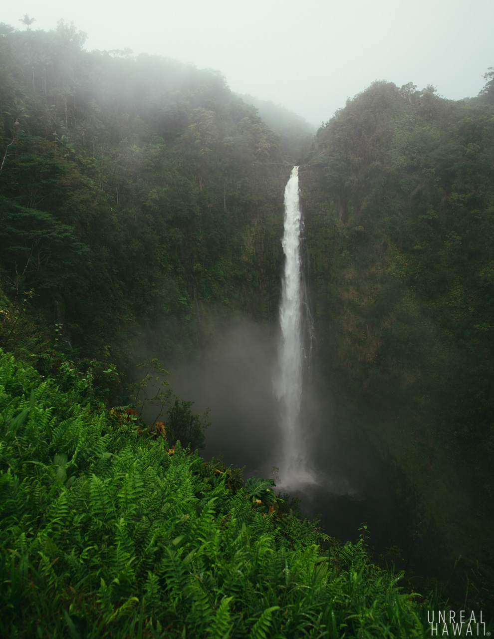 Akaka Falls in full view - Hawaii Island