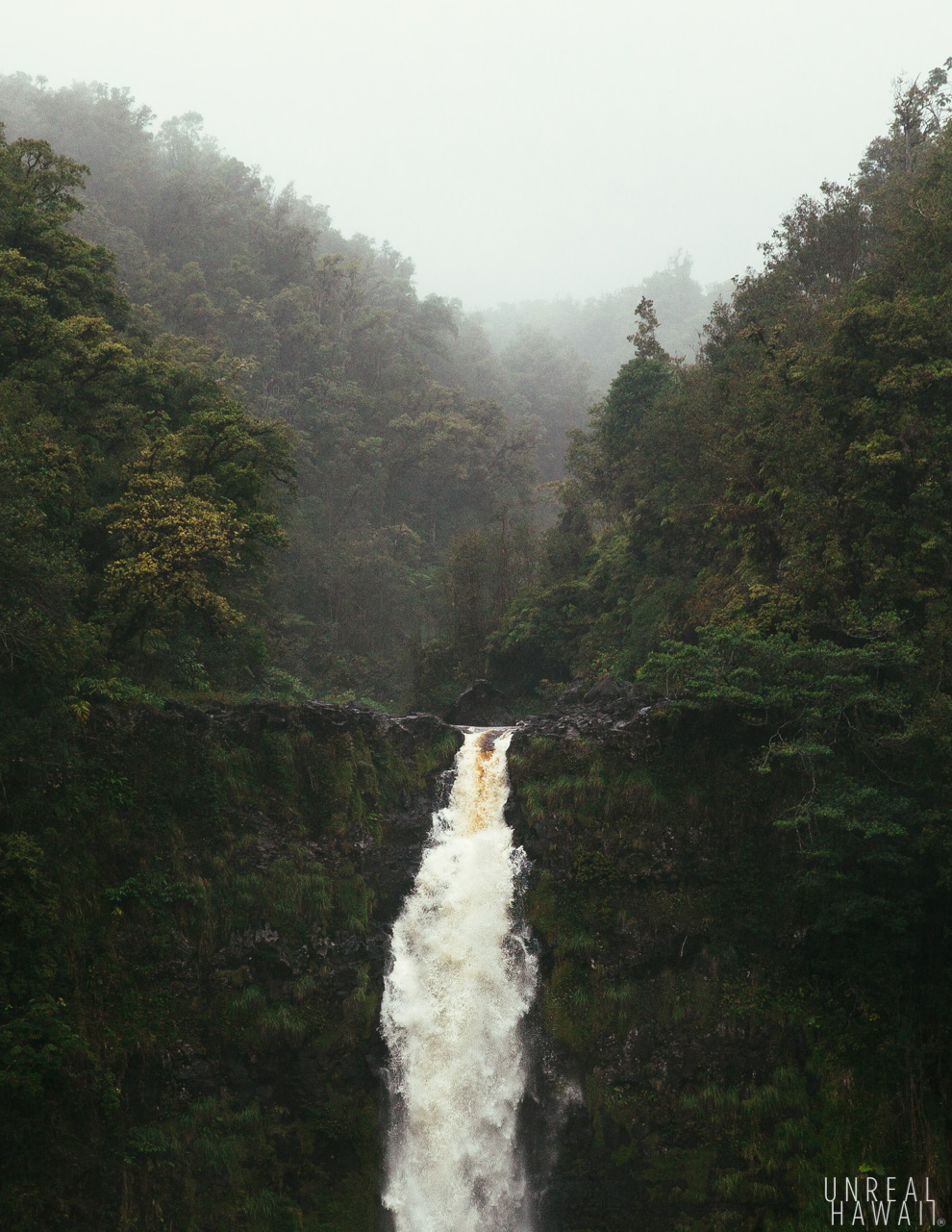 Top of Akaka Falls