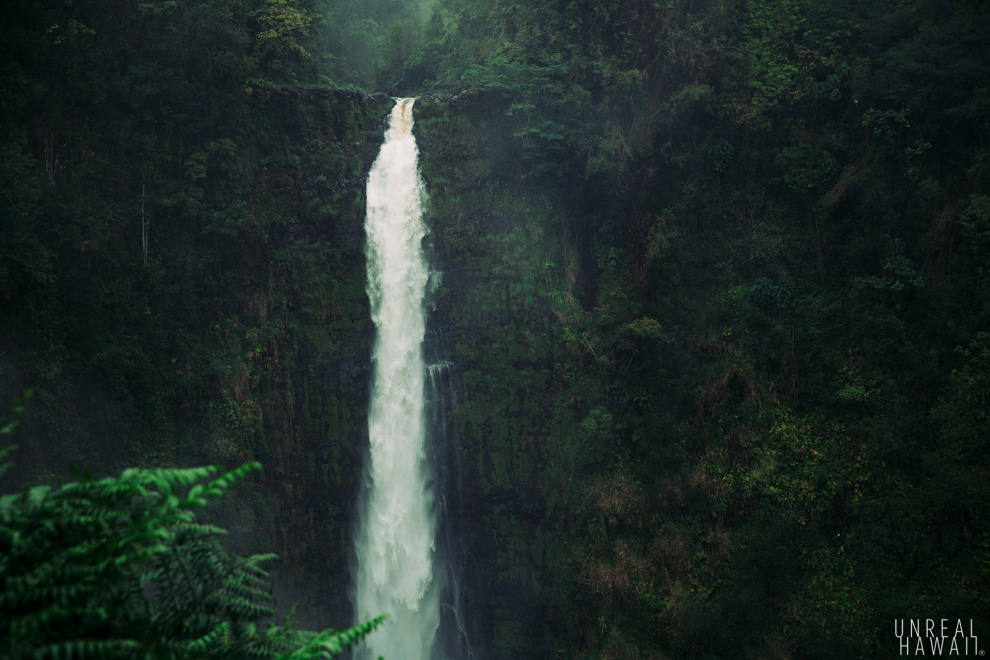 Close up of Akaka Falls on Hawaii Island