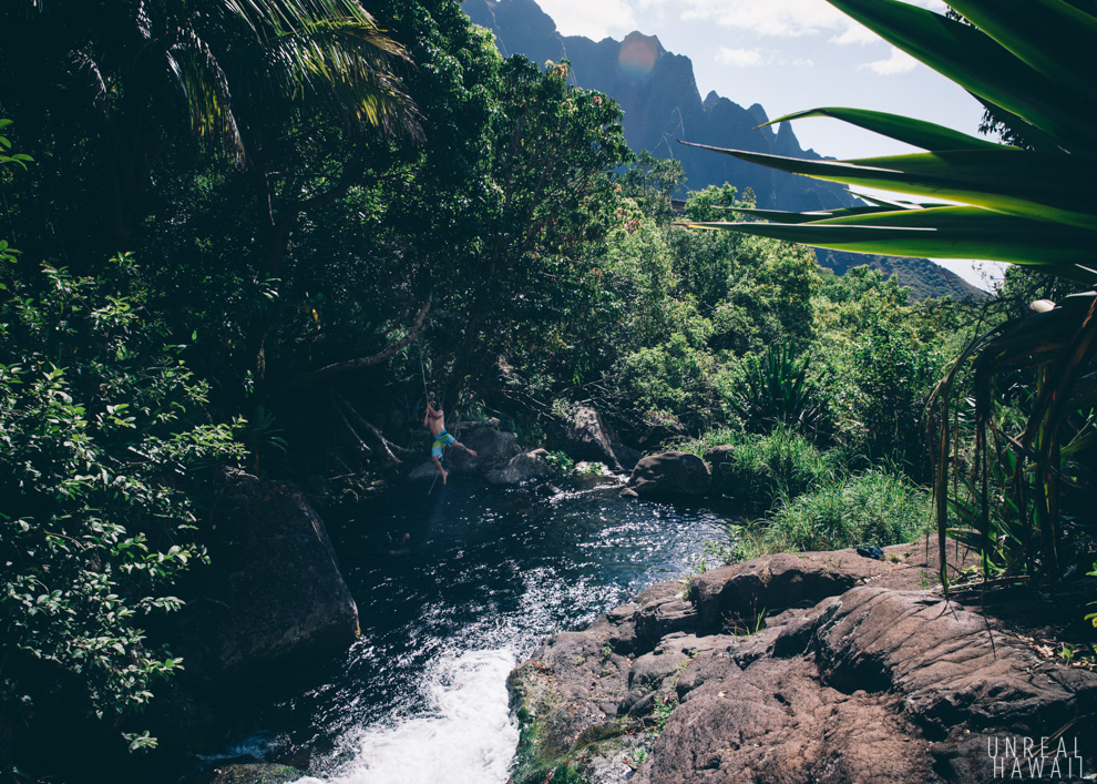 Swinging on rope at Big Pool in Kalalau Valley. Part of Kalalau Stream. Kauai, Hawaii.