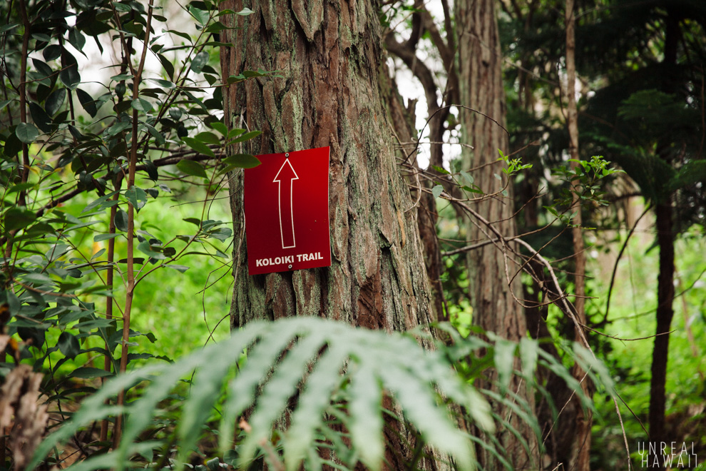 Trailhead for the Koloiki Trail in Lanai.