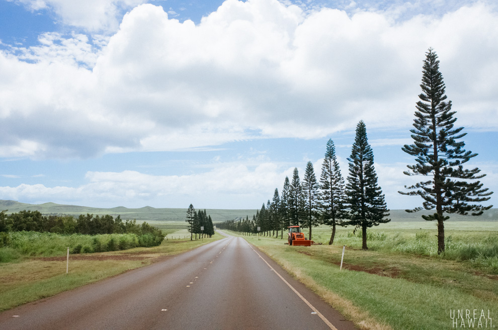 Highway 440 on the island of Lanai.